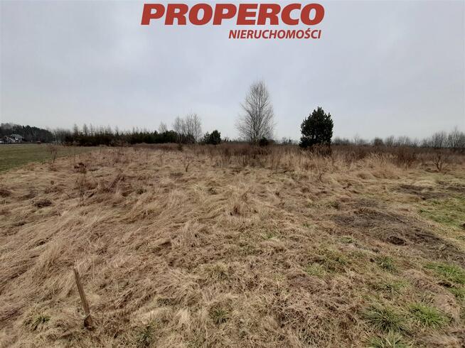 Działka Chełmce gm. Strawczyn, Akacjowa