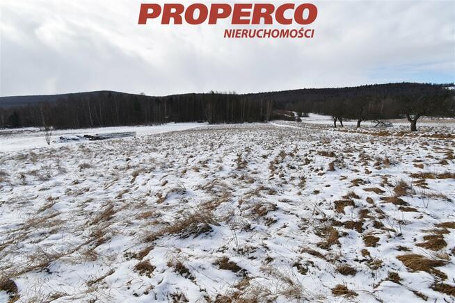 Działka Zagórze gm. Łączna