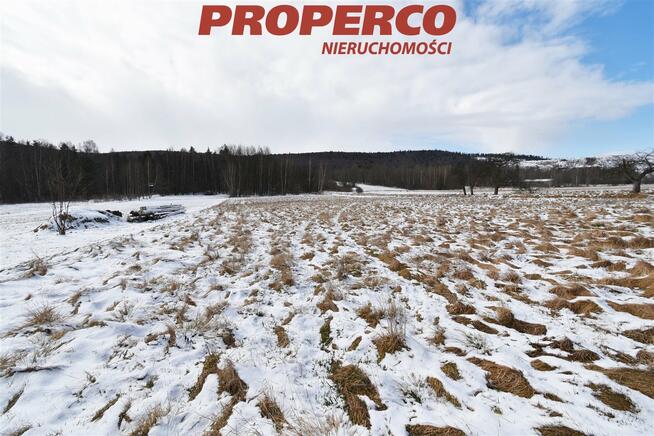 Działka Zagórze gm. Łączna