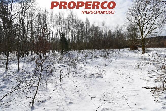 Działka Zagórze gm. Łączna