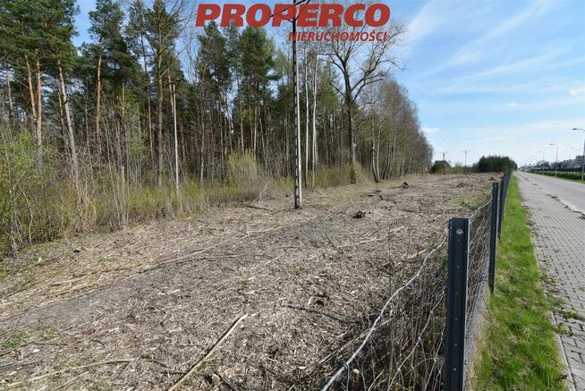 Działka Kielce, Ks. Ściegiennego