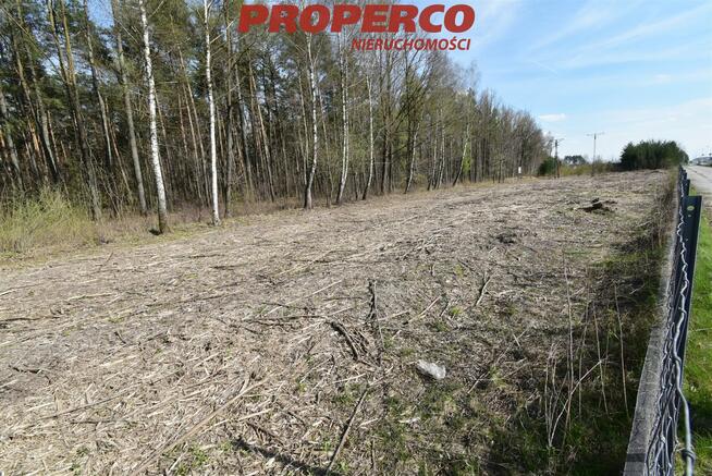 Działka Kielce, Ks. Ściegiennego