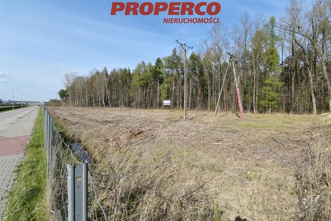 Działka Kielce, Ks. Ściegiennego