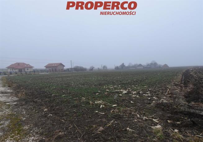 Działka Jędrzejów Potok Mały