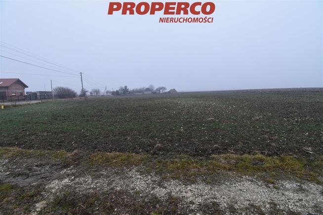 Działka Jędrzejów Potok Mały