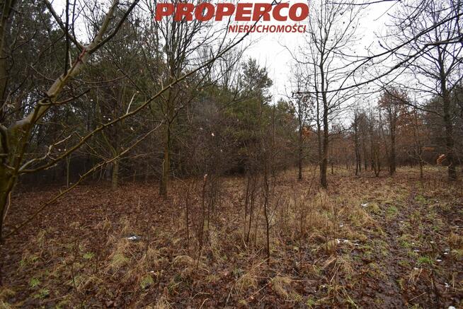 Działka usługowa Starachowice