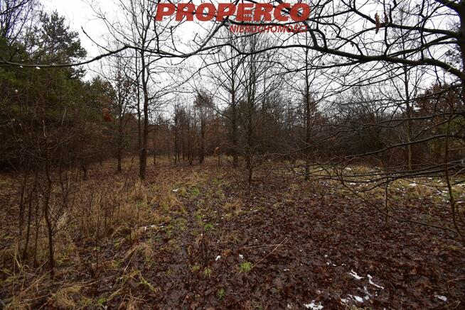 Działka usługowa Starachowice