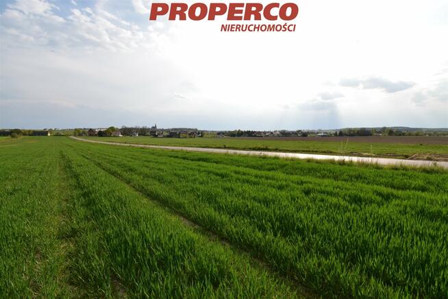 Działka Wielebnów gm. Łopuszno