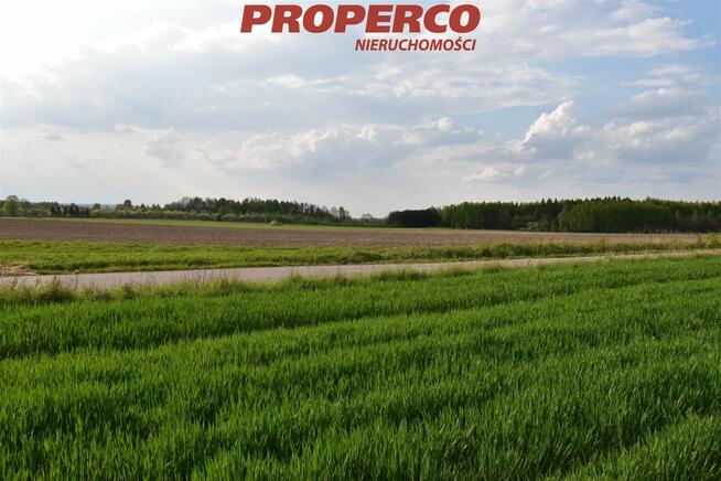 Działka Wielebnów gm. Łopuszno