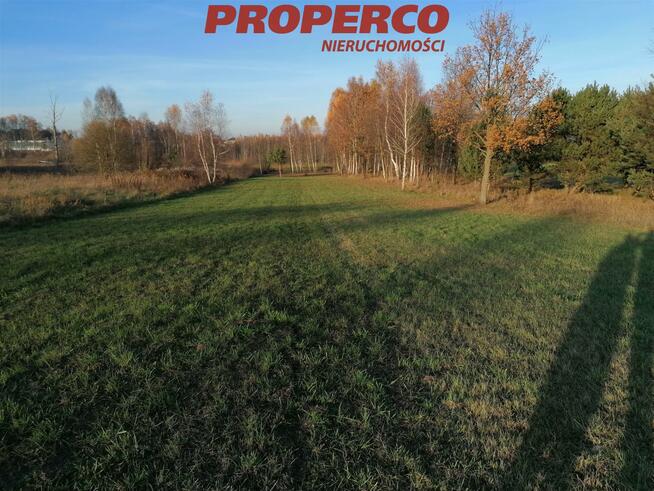 Działka Jaworznia gm. Piekoszów