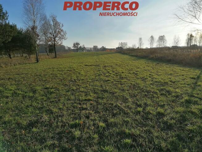 Działka Jaworznia gm. Piekoszów