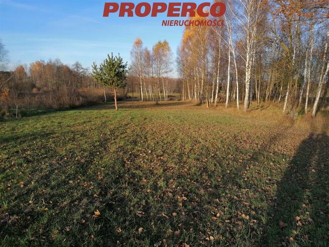 Działka Jaworznia gm. Piekoszów