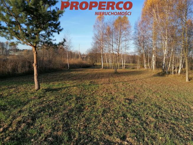 Działka Jaworznia gm. Piekoszów
