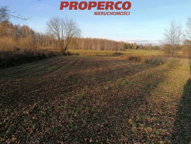 Działka Jaworznia gm. Piekoszów