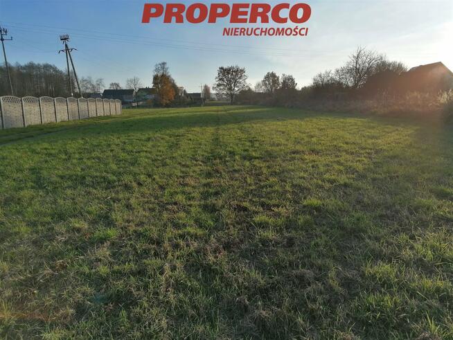 Działka Jaworznia gm. Piekoszów