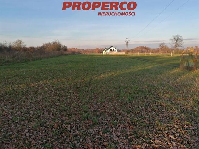 Działka Jaworznia gm. Piekoszów