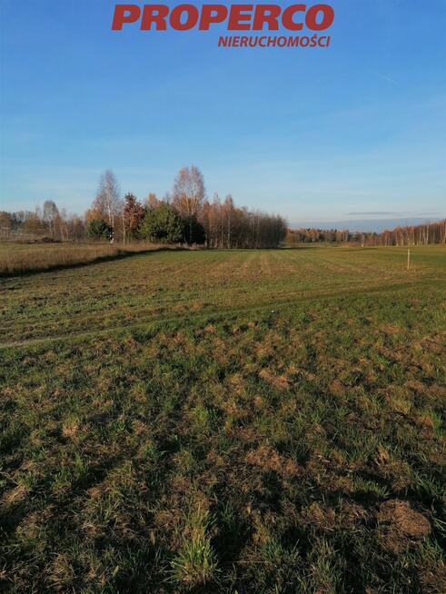 Działka Jaworznia gm. Piekoszów