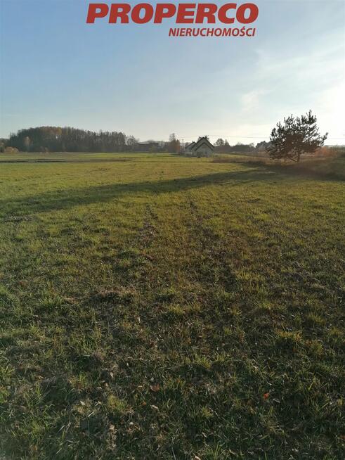 Działka Jaworznia gm. Piekoszów