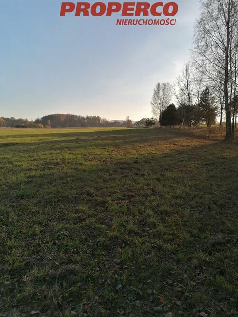 Działka Jaworznia gm. Piekoszów