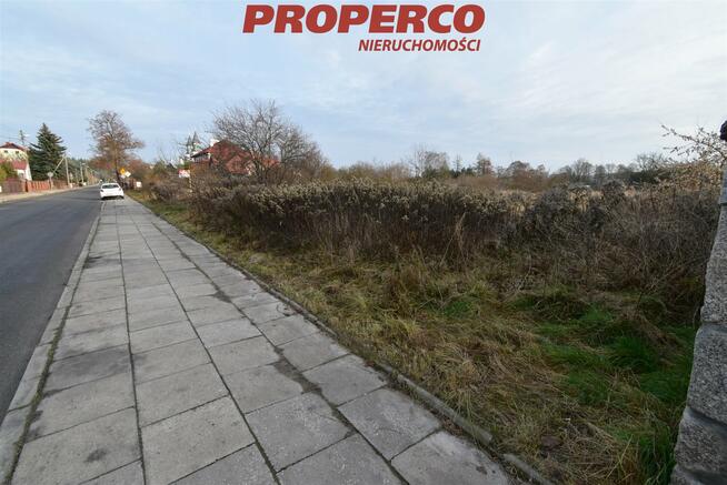 Działka Kielce Białogon, Kolonia