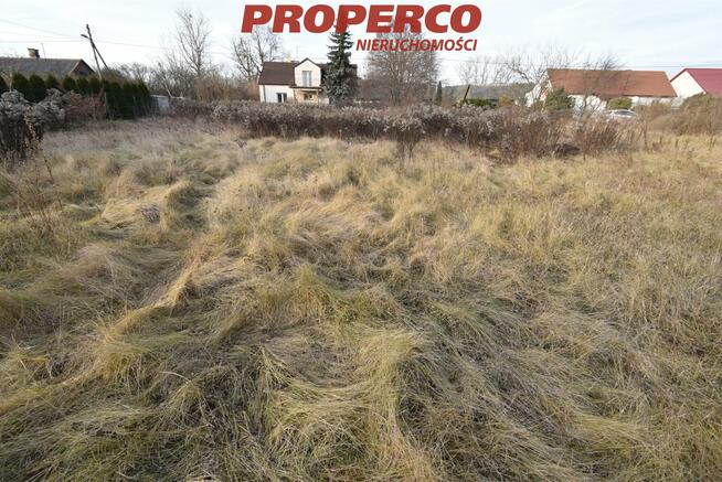 Działka Kielce Białogon, Kolonia