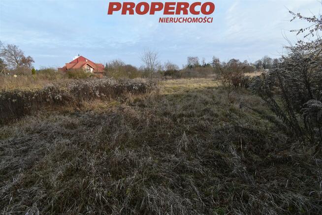 Działka Kielce Białogon, Kolonia