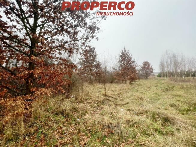 Działka Chęciny Łukowa