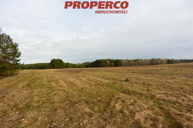 Działka Ewelinów gm. Łopuszno