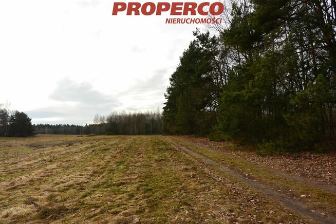 Działka Ewelinów gm. Łopuszno