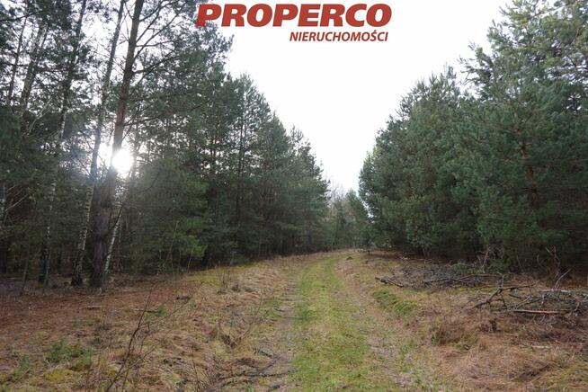 Działka Ewelinów gm. Łopuszno