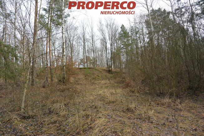 Działka Ewelinów gm. Łopuszno