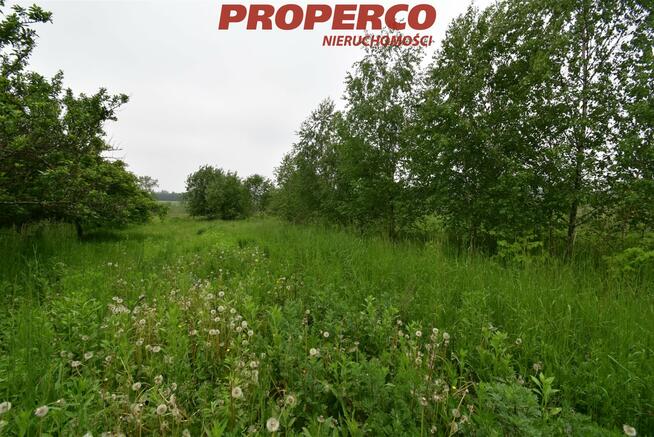 Działka Raczyce gm. Gnojno