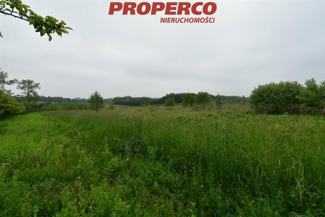 Działka Raczyce gm. Gnojno