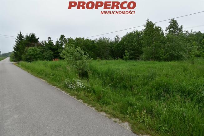 Działka Raczyce gm. Gnojno