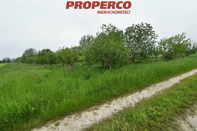 Działka Raczyce gm. Gnojno