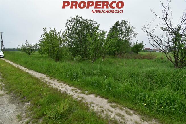 Działka Raczyce gm. Gnojno