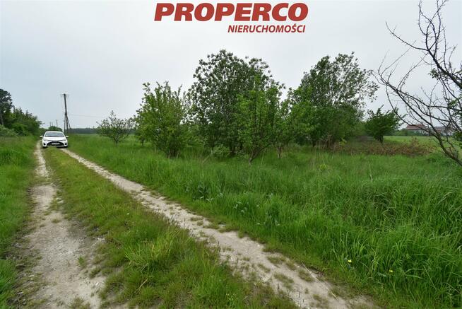 Działka Raczyce gm. Gnojno