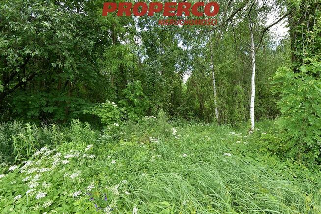 Działka Chmielnik Celiny