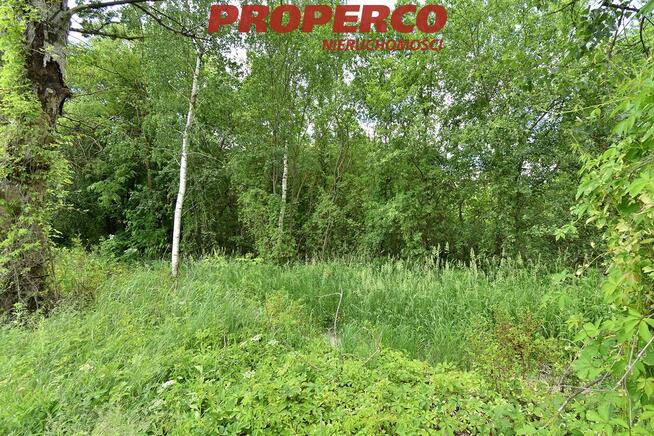 Działka Chmielnik Celiny