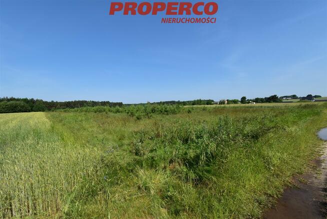 Działka Słupia (Konecka) Mnin