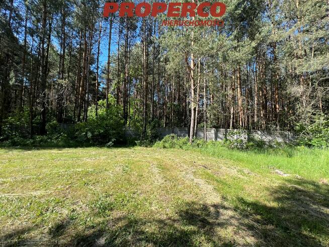 Działka Daleszyce Niwy