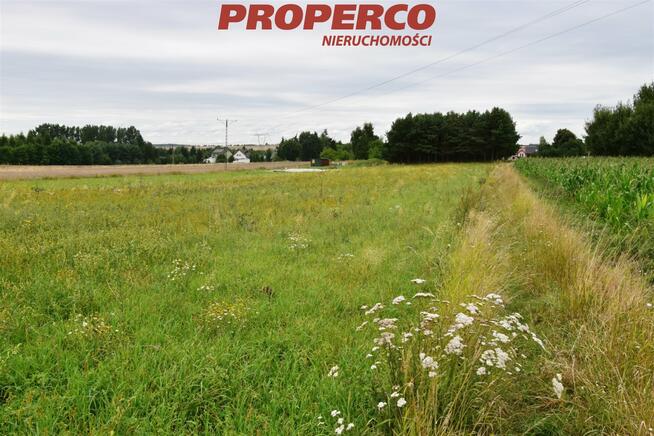 Działka Jędrzejów Wolica