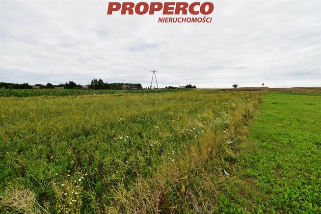 Działka Jędrzejów Wolica