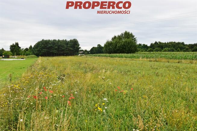 Działka Jędrzejów Wolica