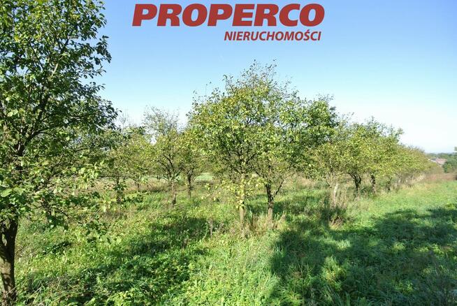 Działka Busko-Zdrój Widuchowa