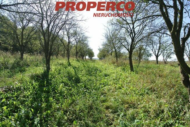 Działka Busko-Zdrój Widuchowa