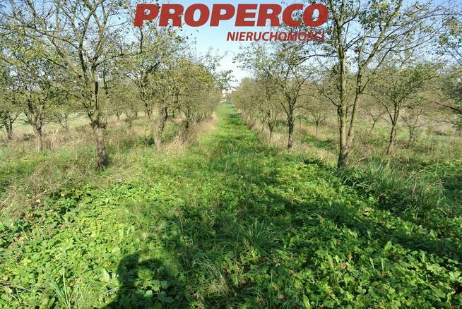 Działka Busko-Zdrój Widuchowa