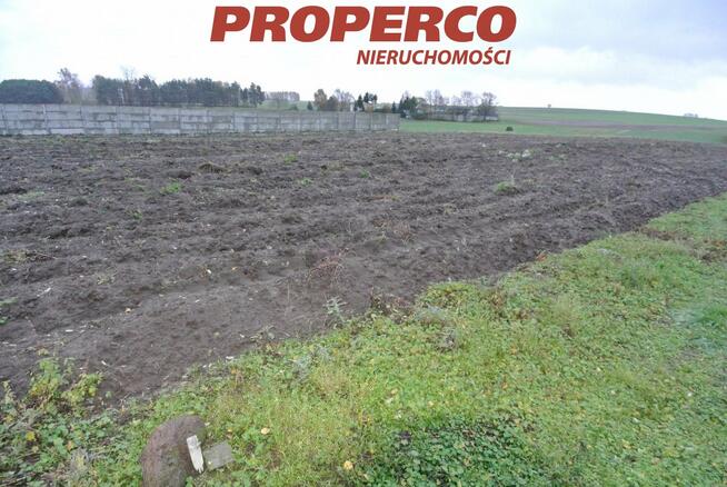 Działka Jędrzejów Borki