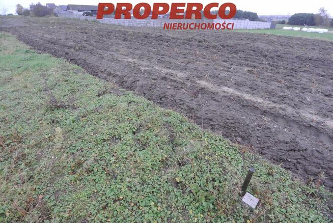 Działka Jędrzejów Borki