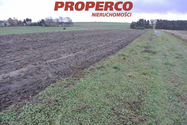 Działka Jędrzejów Borki